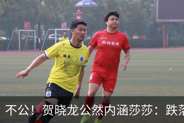 不公！贺晓龙公然内涵莎莎：跌落河北一姐之位，背后竟遭遇网络黑恶势力攻击