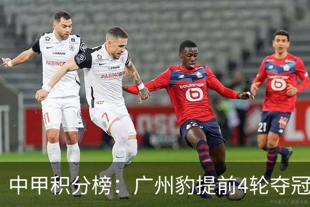 中甲积分榜：广州豹提前4轮夺冠冲超，支云领先第三2分占据主动权