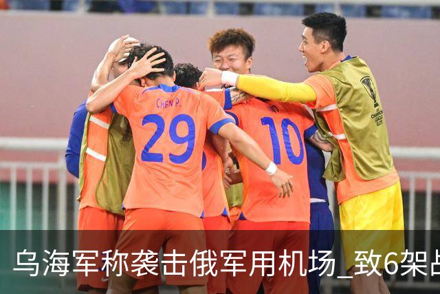 乌海军称袭击俄军用机场 致6架战机受损
