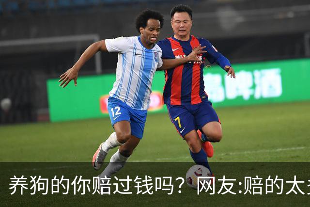 养狗的你赔过钱吗？网友:赔的太多了，它的身价蹭蹭往上涨