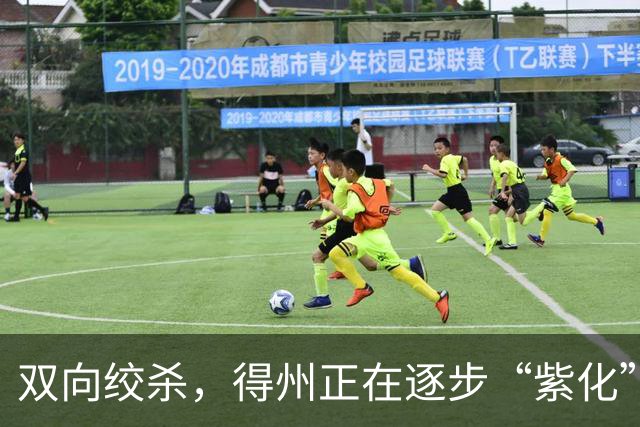 双向绞杀，得州正在逐步“紫化”