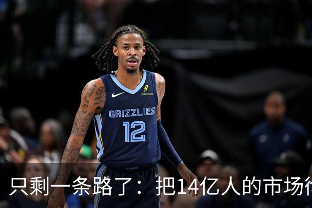 只剩一条路了：把14亿人的市场彻底搞起来