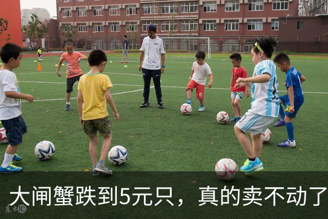 大闸蟹跌到5元/只，真的卖不动了？橙柿走访市场：实际情况很复杂