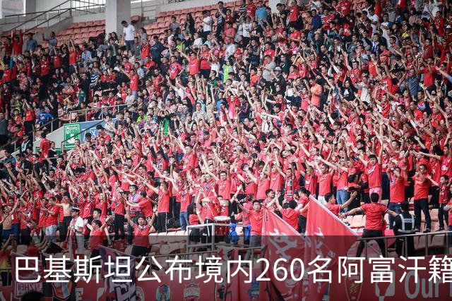 巴基斯坦公布境内260名阿富汗籍被击毙武装人员身份：阿富汗塔利班的庇护争议与巴阿安全博弈