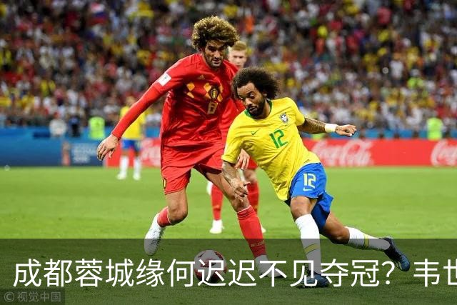 成都蓉城缘何迟迟不见夺冠？韦世豪们挖好的坑，需要一点点填平