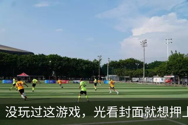 没玩过这游戏，光看封面就想押上2个月人格？
