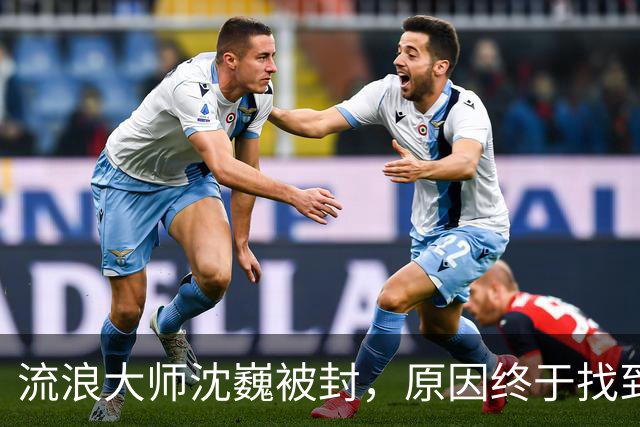 流浪大师沈巍被封，原因终于找到了