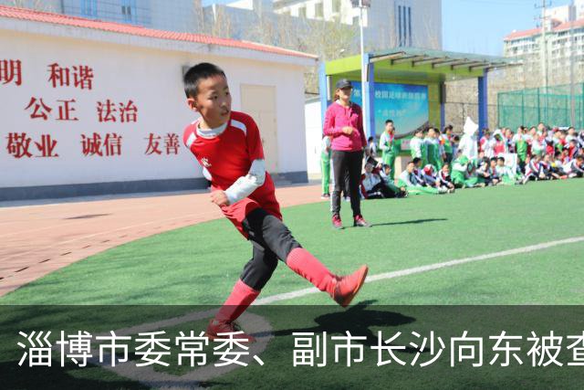 淄博市委常委、副市长沙向东被查：临近退休，半生城建路戛然而止