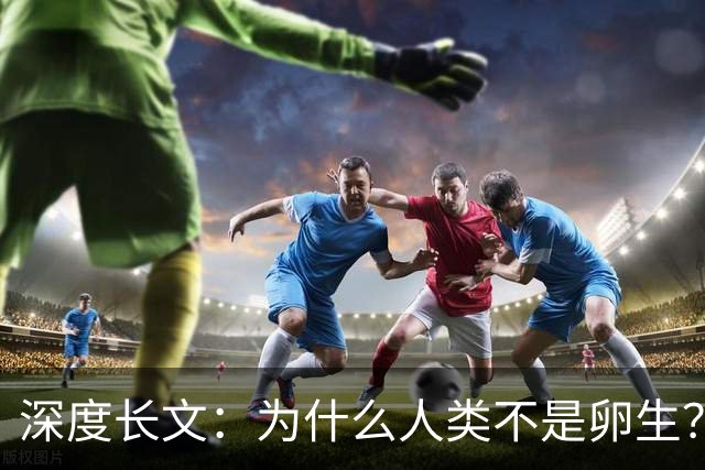深度长文：为什么人类不是卵生？说出来你可能不信，这事3亿年前就定好了