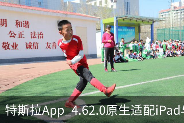 特斯拉App 4.62.0原生适配iPad与iPhone Duo