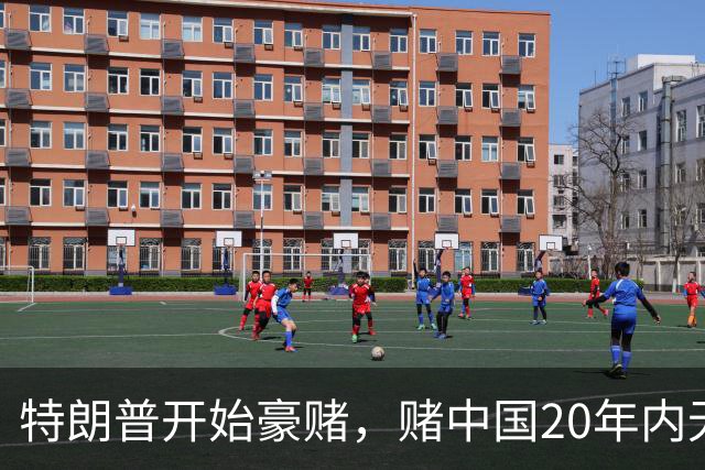 特朗普开始豪赌，赌中国20年内无法统一？不料北京直接杀鸡儆猴