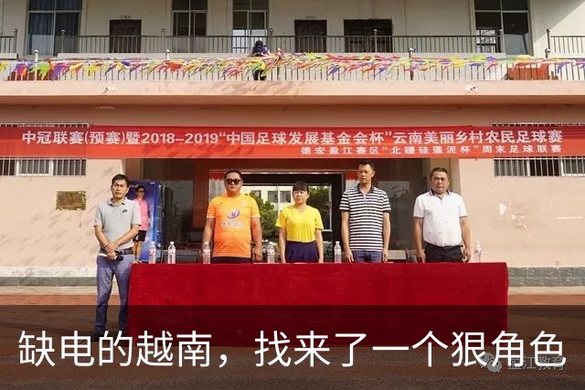 缺电的越南，找来了一个狠角色