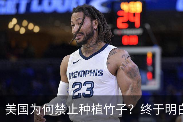 美国为何禁止种植竹子？终于明白，原来竹子比我们想象的更可怕