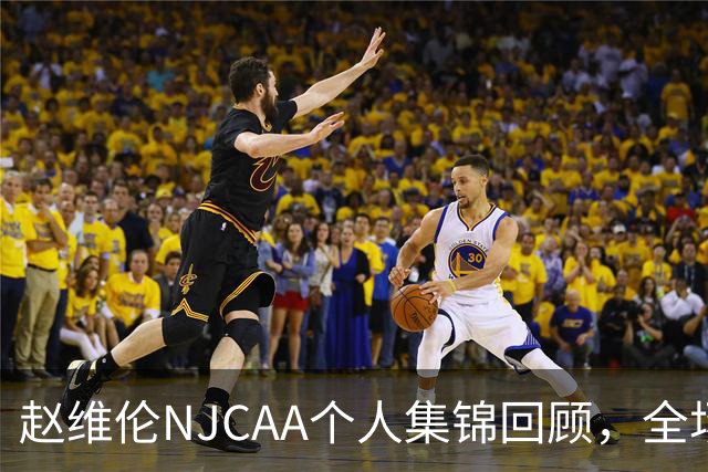 赵维伦NJCAA个人集锦回顾，全场得到19分4助1断