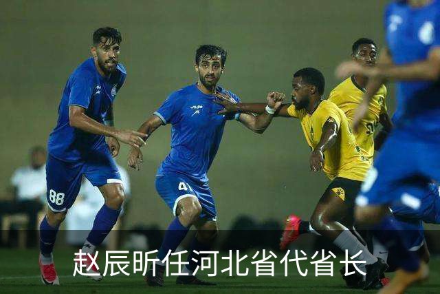 赵辰昕任河北省代省长