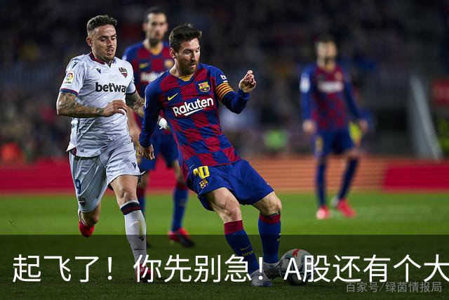 起飞了！你先别急！A股还有个大问题！