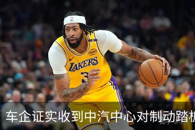 车企证实收到中汽中心对制动踏板总成材质调研问卷 业内：或推动行业标准修订
