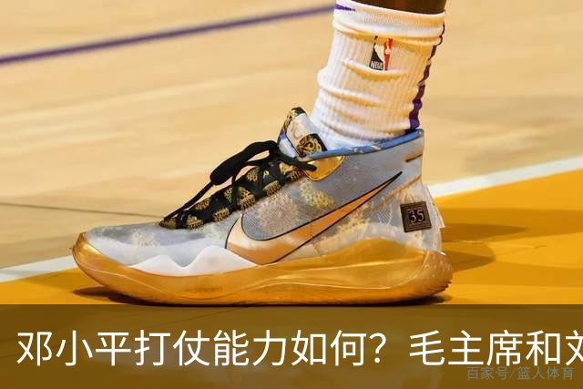 邓小平打仗能力如何？毛主席和刘伯承分别怎么评价他的表现？