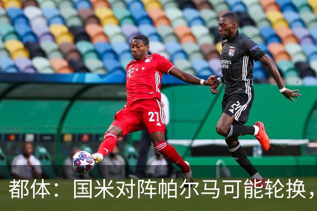 都体：国米对阵帕尔马可能轮换，普罗维德尔有望首发