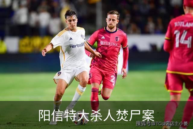 阳信特大杀人焚尸案
