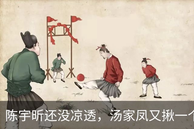陈宇昕还没凉透，汤家凤又揪一个“精日”人员：竟然还是公司老板