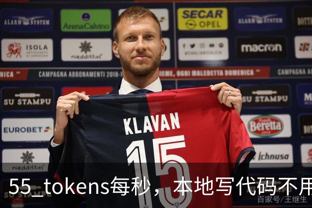 55 tokens每秒，本地写代码不用再烧token了